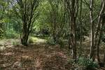 Vrbnik, okolica, građevinsko zemljište!