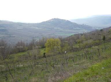 Zemljiste, Pazin, prodaja, 220000 €, 0 m2
