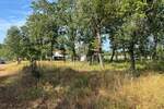 Poreč,okolica-prostrano građevinsko zemljište 3057 m2