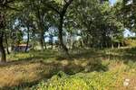 Poreč,okolica-prostrano građevinsko zemljište 3057 m2