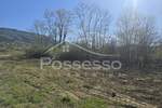 Zemljiste, Buzet, prodaja, 29900 €, 2000 m2