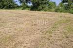  Istra, Baderna, poljoprivredo zemljište, 4.122m2