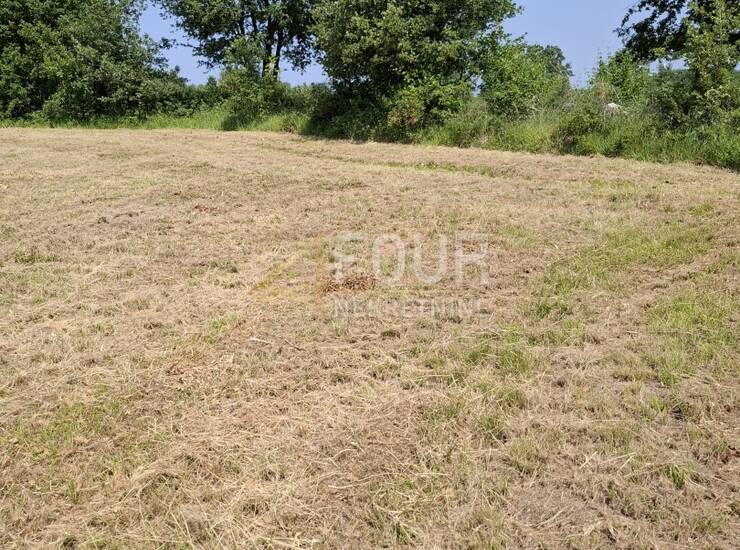  Istra, Baderna, poljoprivredo zemljište, 4.122m2