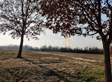 Zemljiste, Žminj, prodaja, 250000 €, 6023 m2