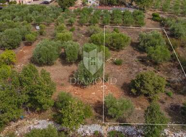 Zemljiste, Buje, prodaja, 149000 €, 1260 m2