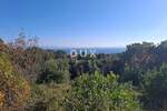 Istra, Marčana, poljoprivredno zemljište, 550m2, pogled more