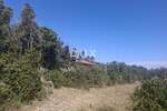 Krnica, Pavićini, poljoprivredno zemljište, 550m2, vidikovac