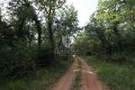 Poljoprivredno zemljište 900 m2, 10 km od Poreča