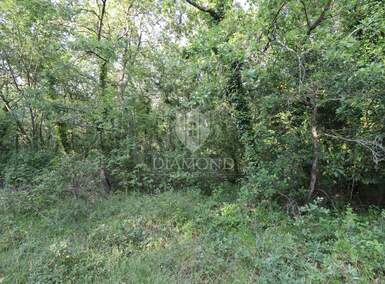 Zemljiste, Poreč, prodaja, 29700 €, 1980 m2
