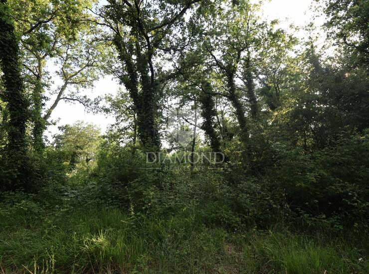 Poljoprivredno zemljište 1770 m2, 10 km od Poreča