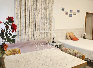 Jednosoban stan, Rijeka, Centar, najam, 450 €, 27 m2
