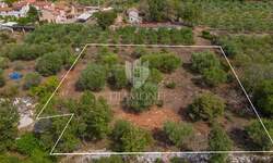 Zemljiste, Buje, prodaja, 299000 €, 2585 m2