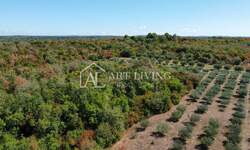 Zemljiste, Poreč, prodaja, 925000 €, 25000 m2