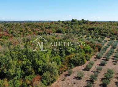 Zemljiste, Poreč, prodaja, 925000 €, 25000 m2