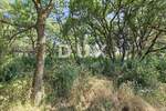 Istra, Valbandon, građevinsko zemljište, 1345m2, idealno za obiteljsku kuću/