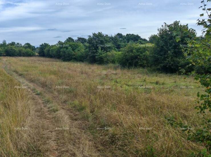 Prodaje se građevinsko zemljište površine 1.600 m² u blizini Svetvinče...