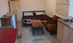 Jednosoban stan, Viškovo, najam, 350 €, 20 m2
