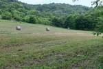 Veliko imanje s potencijalom – Pazin, srce Istre

Na prodaju je prostrano...