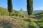 Oprtalj, prostrano zemljište 7.500 m2 na jedinstvenoj lokaciji!