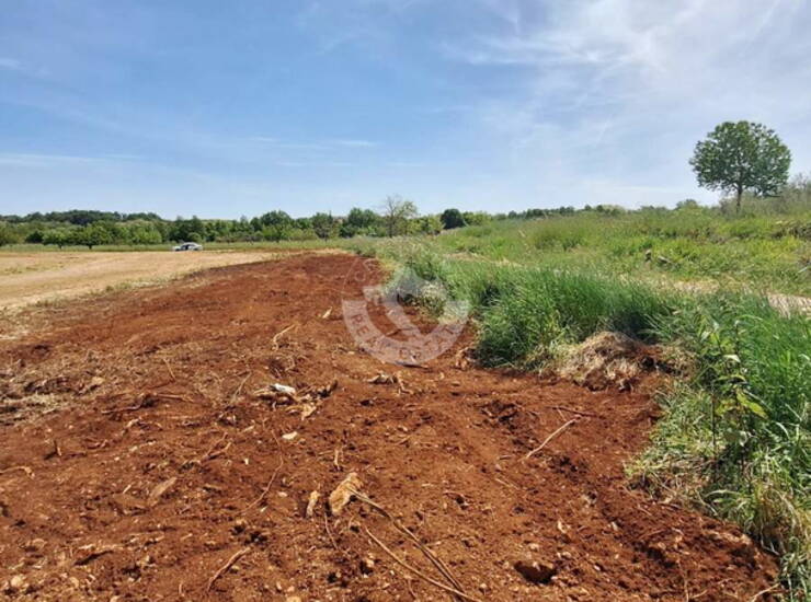 Hrvatska, Istra, Brtonigla Fernetići  - poljoprivredno zemljište 881 m²