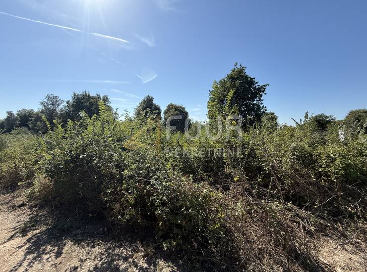 Istra, Šišan, poljoprivredno zemljište, 500m2