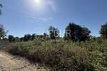 Istra, Šišan, poljoprivredno zemljište, 500m2