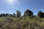 Istra, Šišan, poljoprivredno zemljište, 500m2
