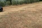 Na prodaju je atraktivno građevinsko zemljište ukupne površine 2.470 m²...