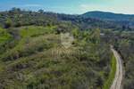 Motovun, okolica, zemljište 12.600m2 na mirnoj lokaciji s otvorenim pogledom!