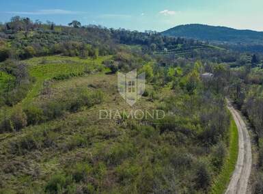 Zemljiste Brkač, Motovun 12.596m² - 130.000 € | SveHrNekretnine