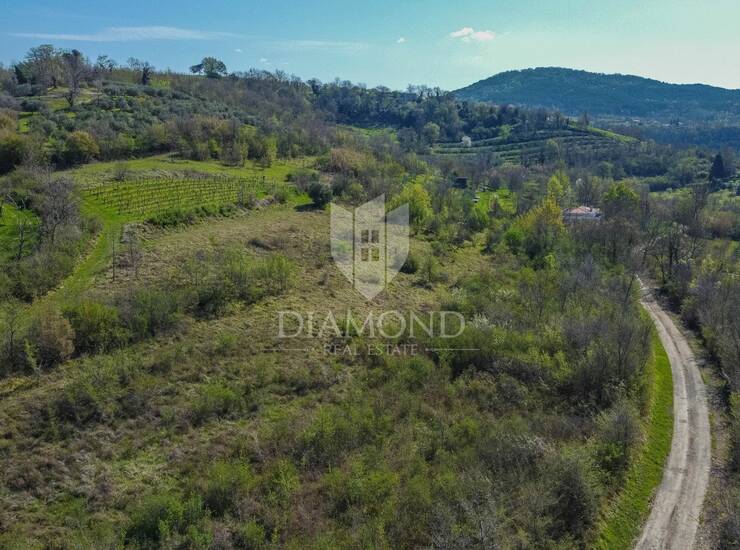Motovun, okolica, zemljište 12.600m2 na mirnoj lokaciji s otvorenim pogledom!