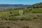 Motovun, okolica, zemljište 12.600m2 na mirnoj lokaciji s otvorenim pogledom!