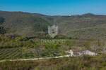 Motovun, okolica, zemljište 12.600m2 na mirnoj lokaciji s otvorenim pogledom!