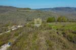 Motovun, okolica, zemljište 12.600m2 na mirnoj lokaciji s otvorenim pogledom!