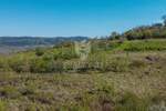 Motovun, okolica, zemljište 12.600m2 na mirnoj lokaciji s otvorenim pogledom!
