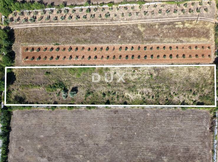 ISTRA, VODNJAN - Građevinsko zemljište za izgradnju obiteljske kuće, vile s  — fotografija 3