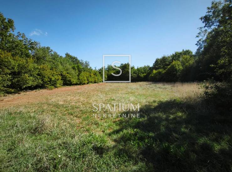 POREČ, POLJOPRIVREDNO ZEMLJIŠTE 11.287 m²  — fotografija 3