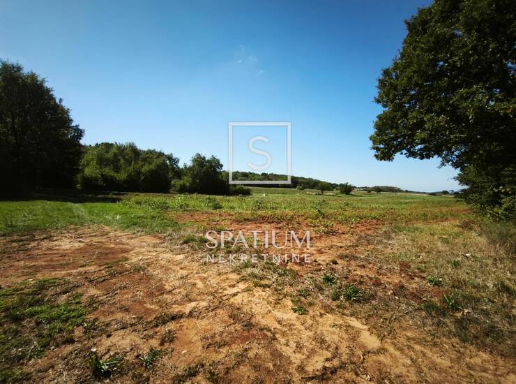 POREČ, POLJOPRIVREDNO ZEMLJIŠTE 11.287 m²  — fotografija 5