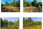 Kaštelir, Diklići, šuma gospodarske namjene, 11259 m², Š1