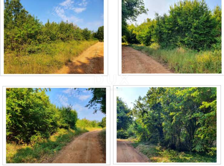 Kaštelir, Diklići, šuma gospodarske namjene, 11259 m², Š1 — fotografija 2