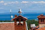 Istra, Ližnjan : Stan s vrtom blizu mora — fotografija 3