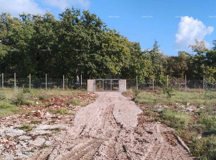Veliko građevinsko zemljište s projektom za gradnju vile za odmor i  već... — fotografija 2