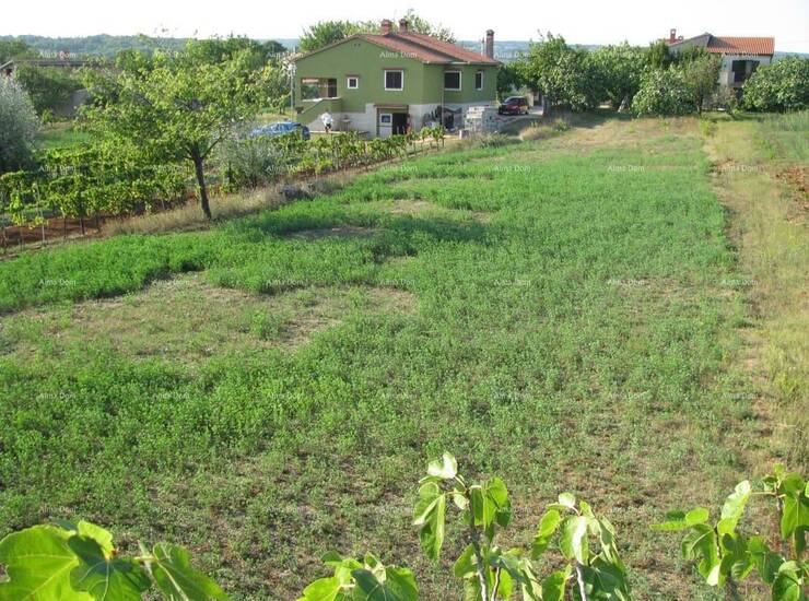 Prodaje se građevinsko zemljište,1329 m2,  
300 m od  centra Barbana.
Zem... — fotografija 2