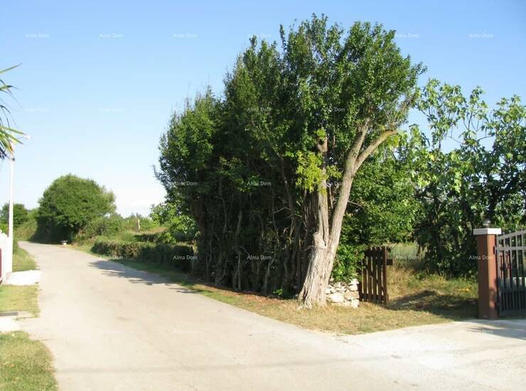 Prodaje se građevinsko zemljište,1329 m2,  
300 m od  centra Barbana.
Zem... — fotografija 3