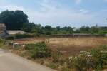 Građevinsko zemljište s dozvolom i projektom vile s bazenom – 760 m²

... — fotografija 8