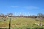 Atraktivno građevinsko zemljište 4.200m2 sa kućom,LOBORIKA