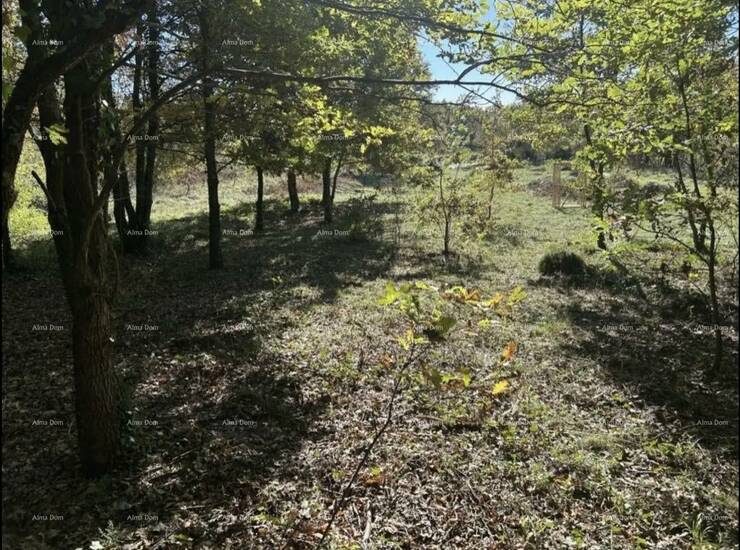 Na prodaju je građevinsko zemljište površine 1.361 m² smješteno u bliz... — fotografija 2