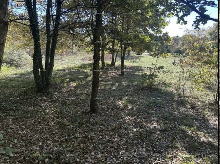 Na prodaju je građevinsko zemljište površine 1.361 m² smješteno u bliz... — fotografija 3