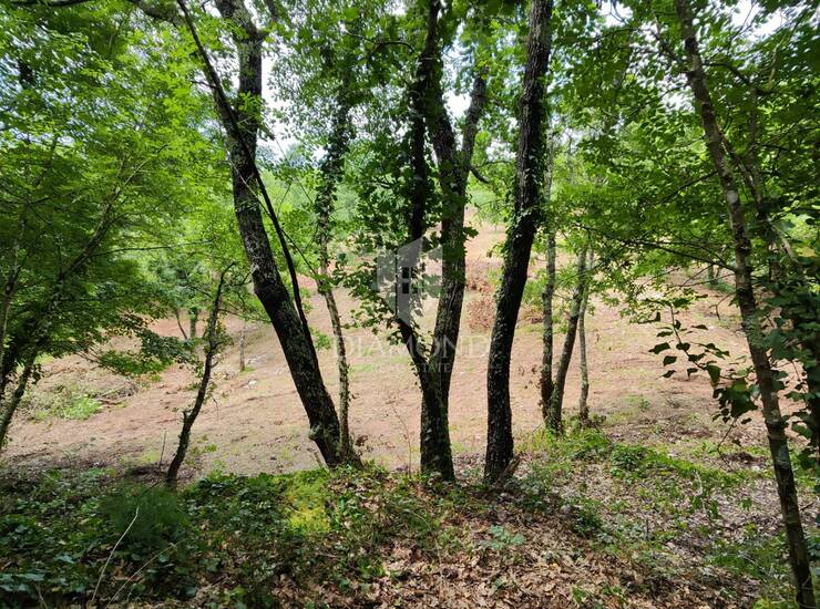 Barban, okolica, građevinsko zemljište na mirnoj lokaciji — fotografija 2