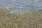 Istra, Rakalj : Građevinsko zemljište s pogledom na more — fotografija 2